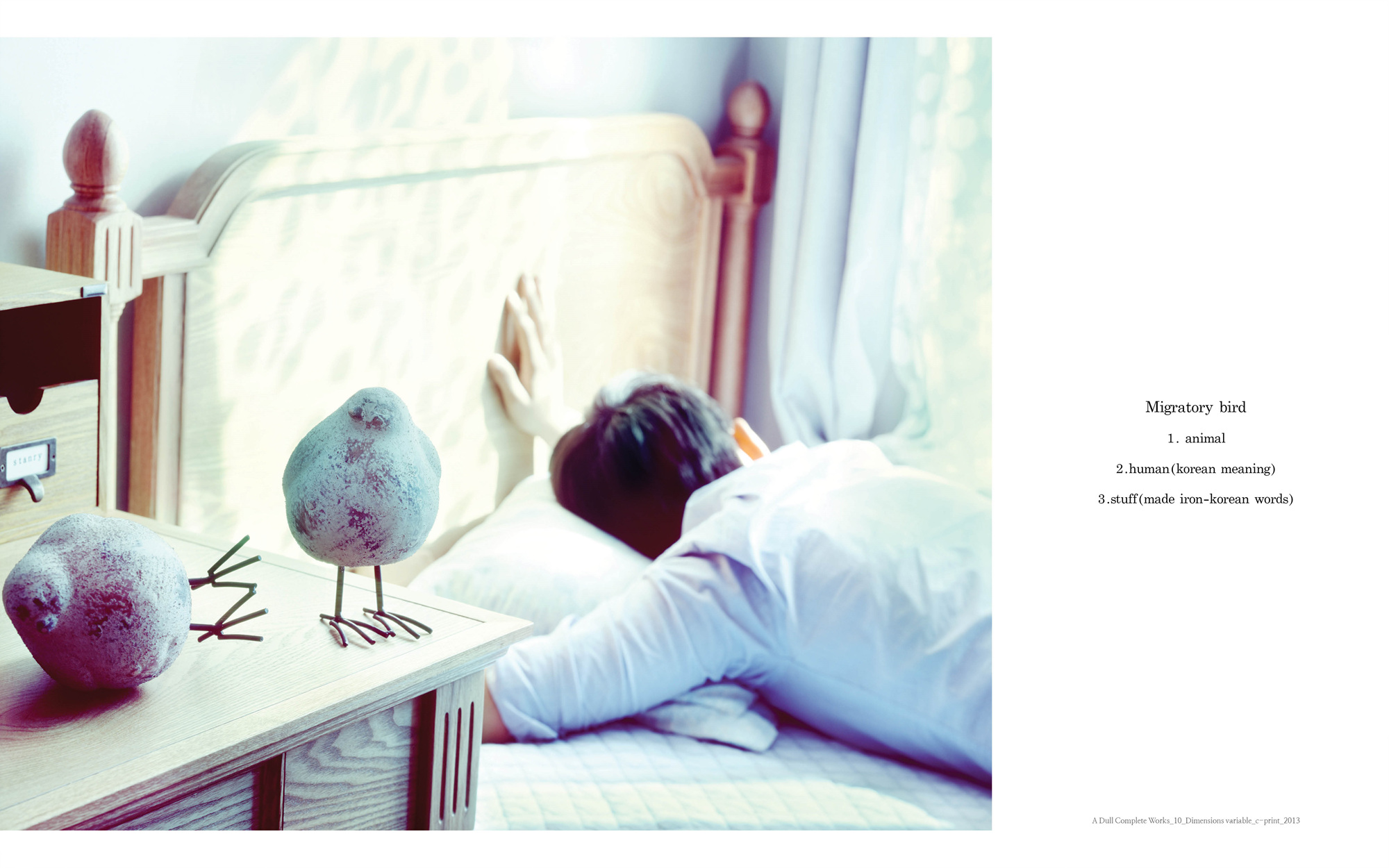 A dull complete works_10_C_print_dimensions variable_2013