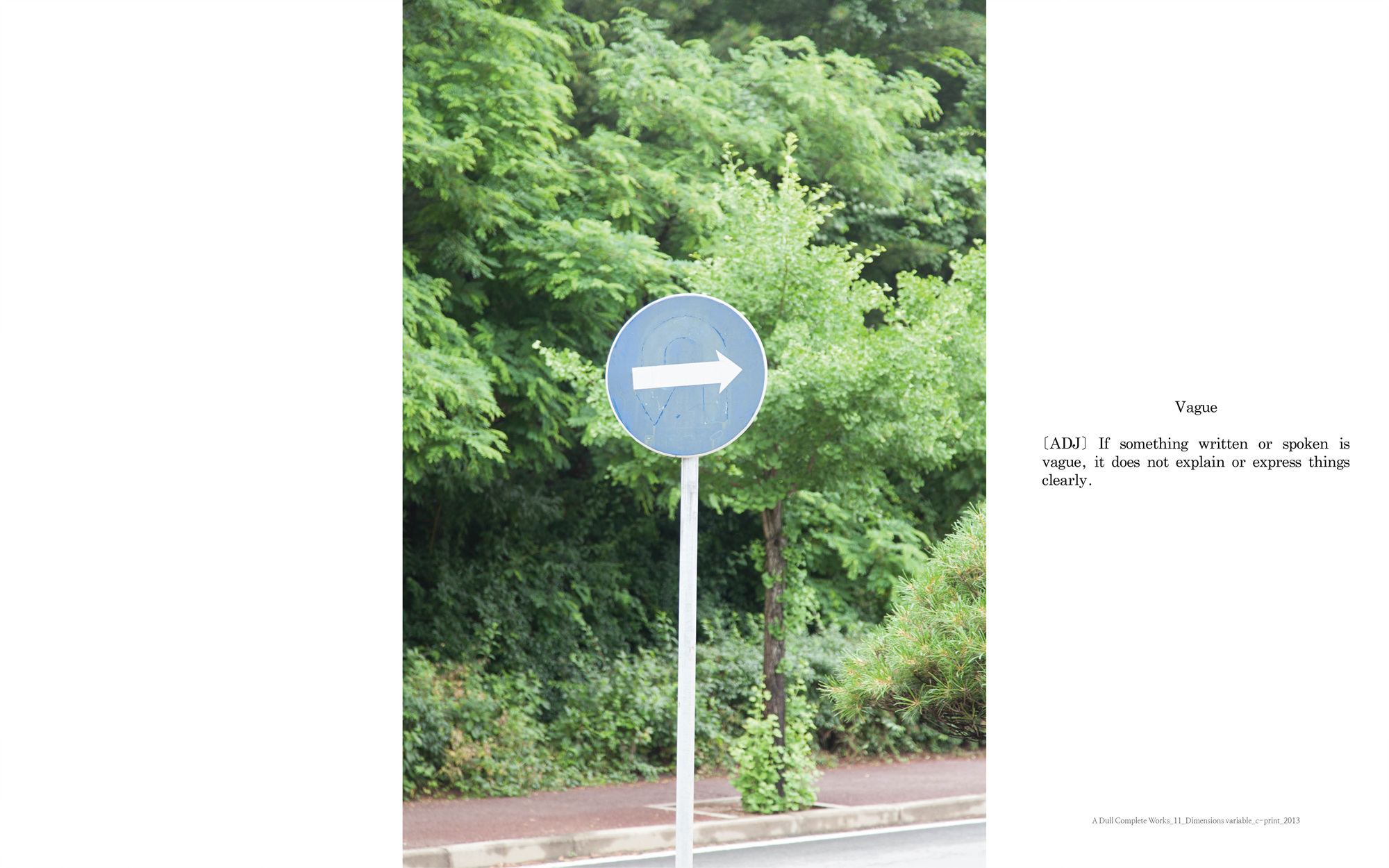 A dull complete works_11_C_print_dimensions variable_2013