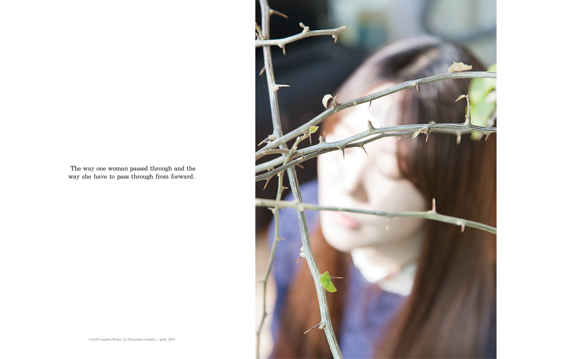 A dull complete works_12_C_print_dimensions variable_2014