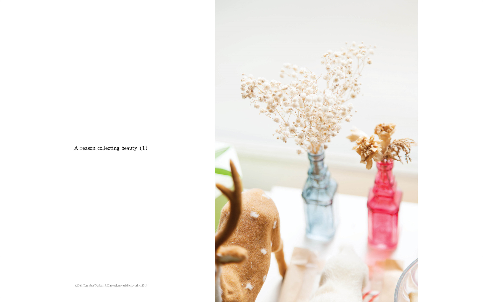 A dull complete works_14_C_print_dimensions variable_2014