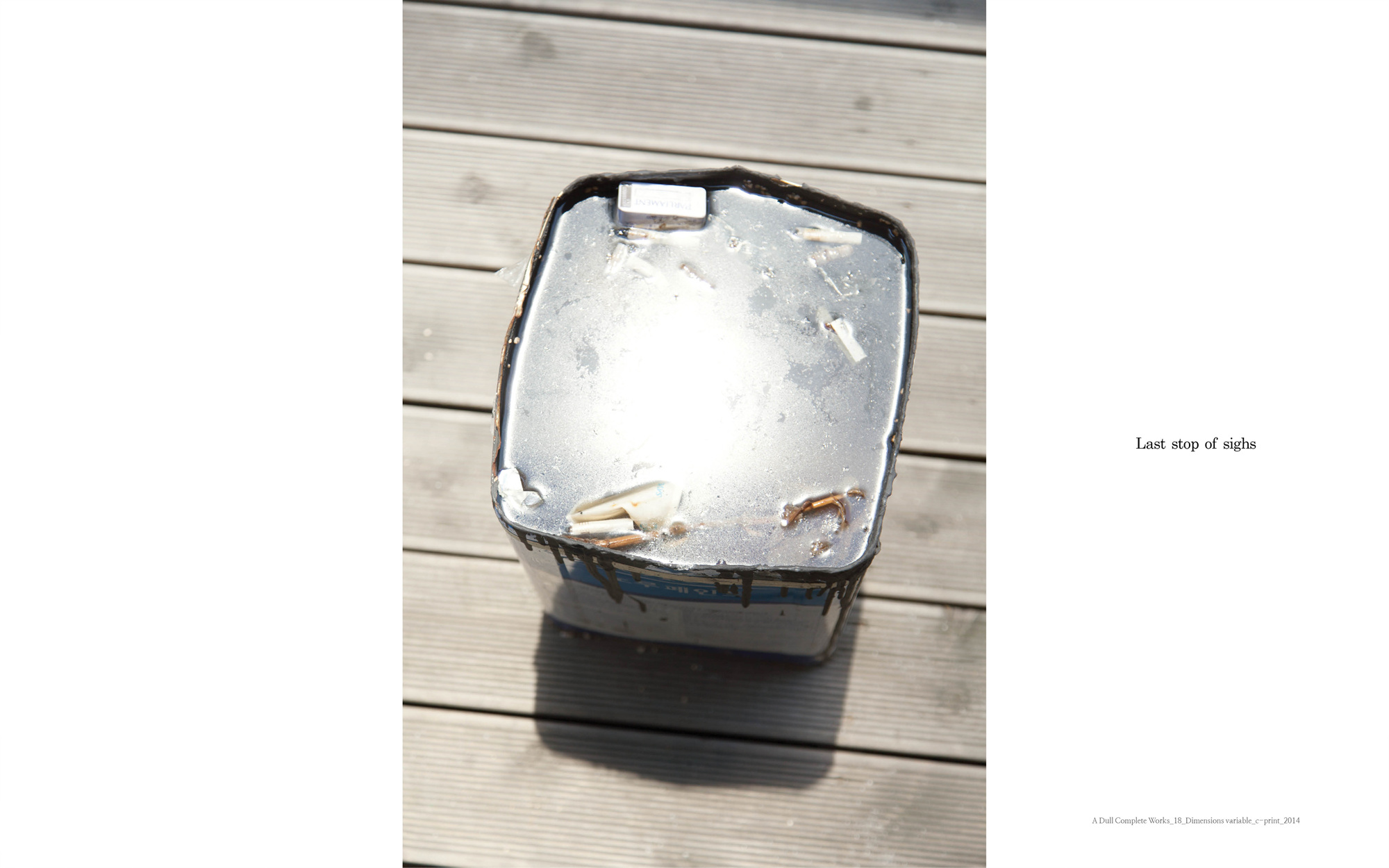 A dull complete works_18_C_print_dimensions variable_2014