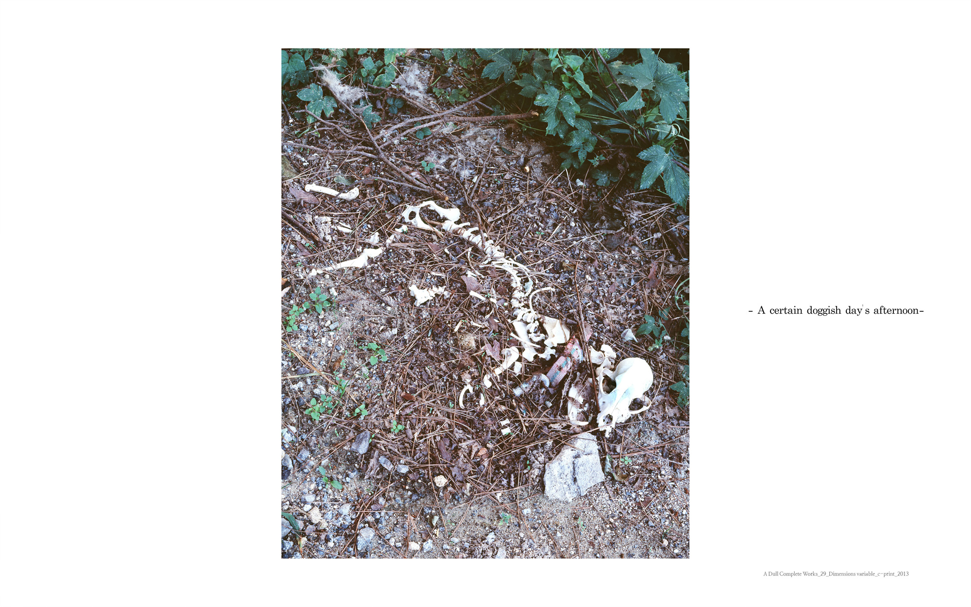 A dull complete works_29_C_print_dimensions variable_2013