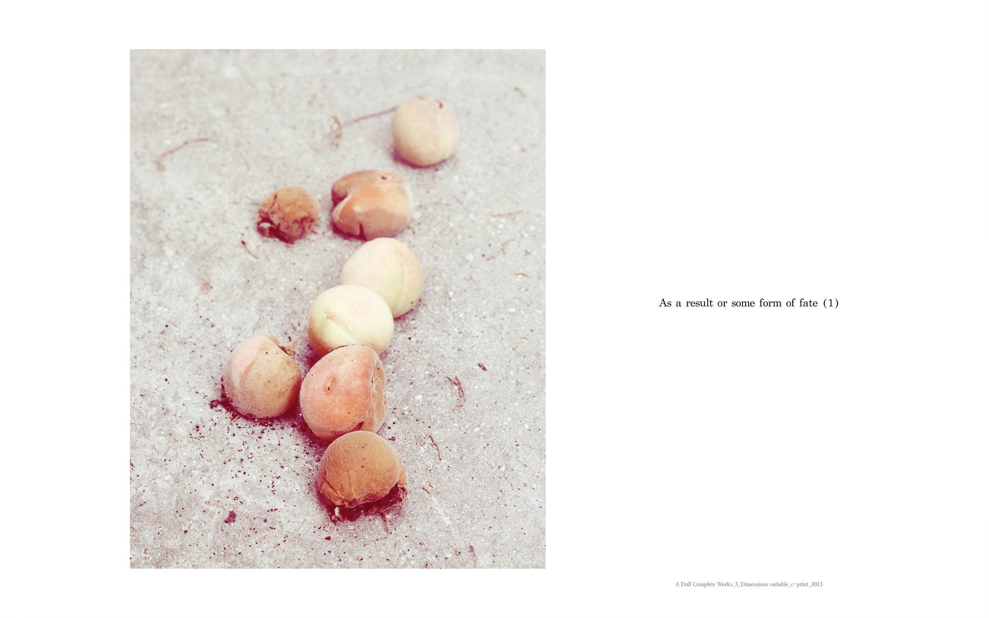 A dull complete works_3_C_print_dimensions variable_2013
