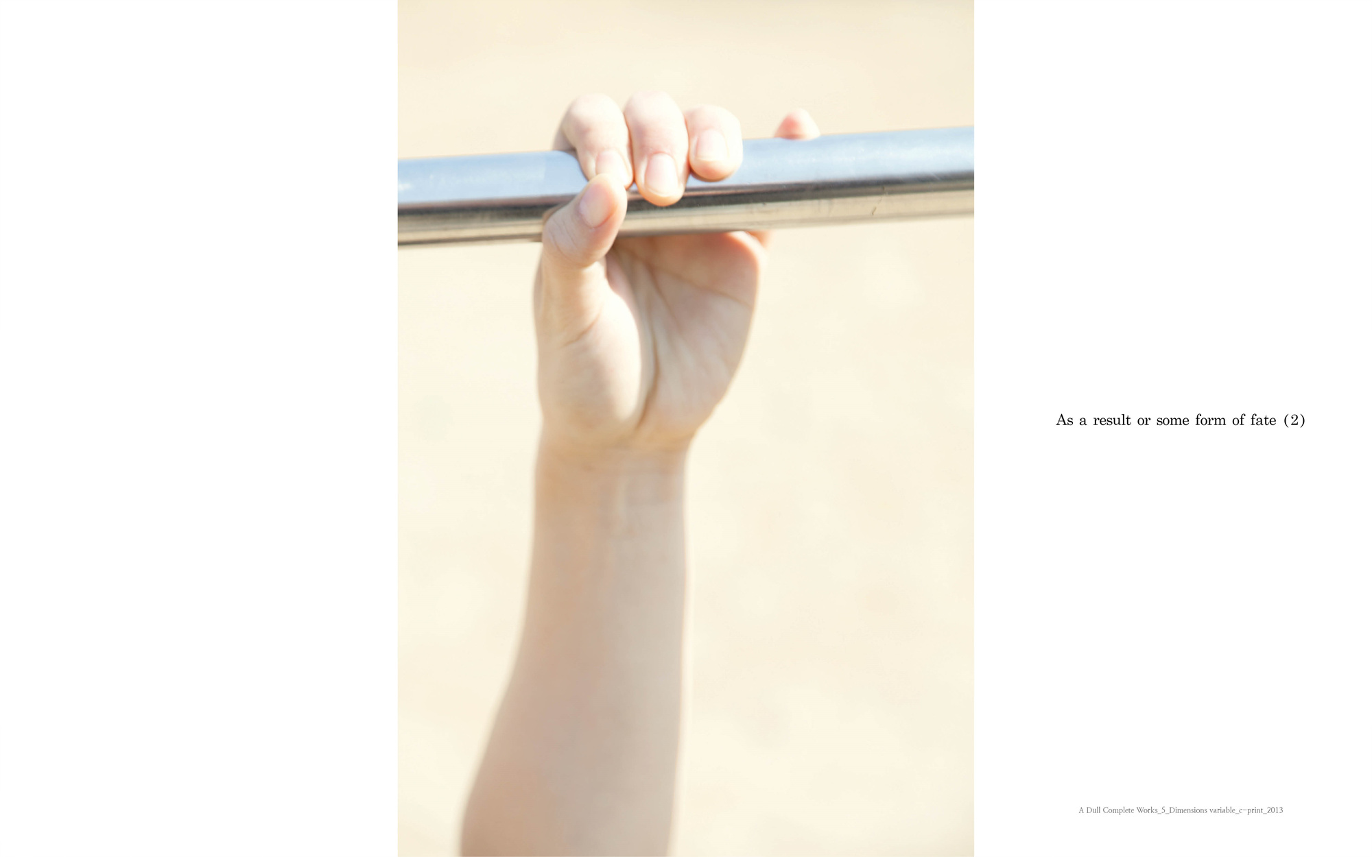 A dull complete works_5_C_print_dimensions variable_2013