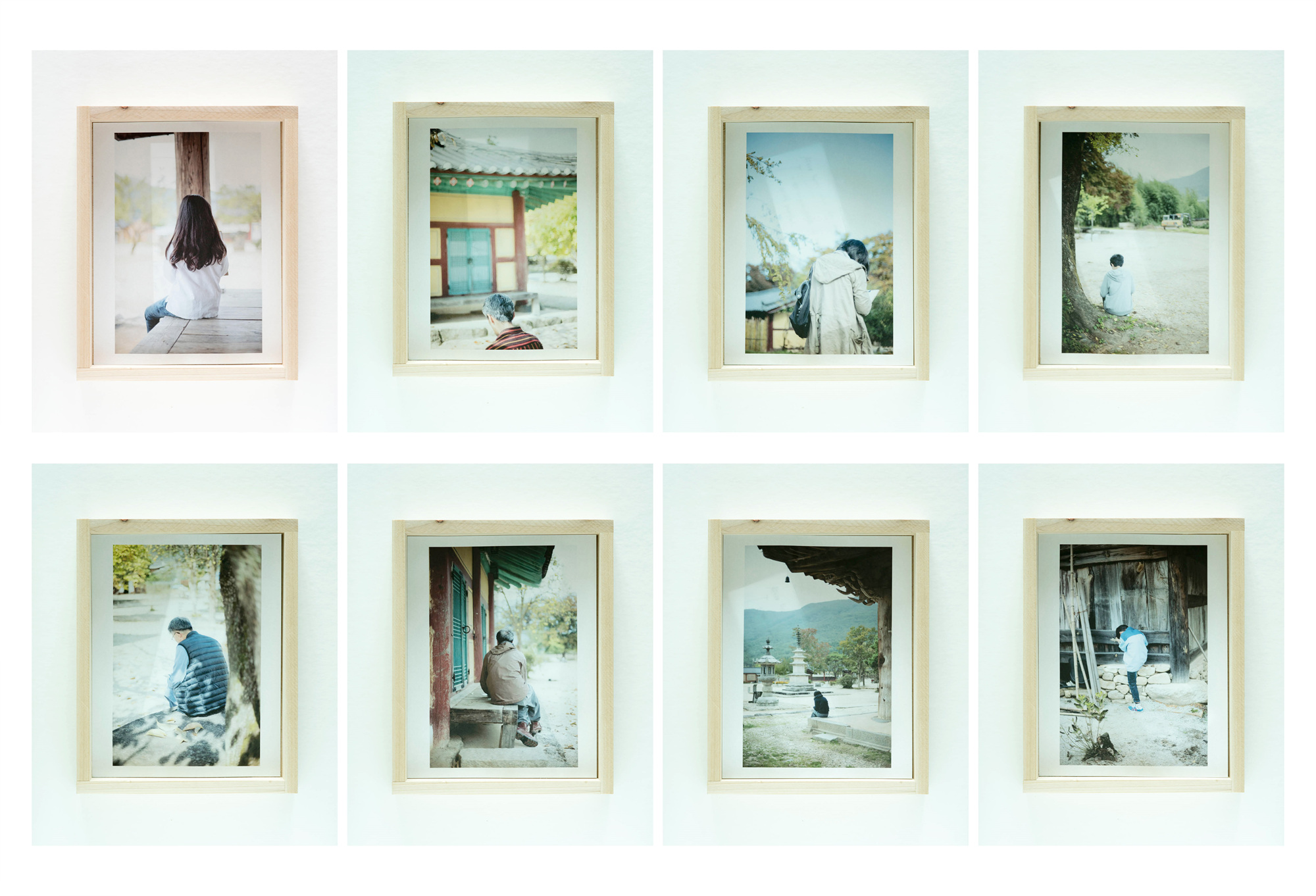 Bird song(1)_Photo installation_dimensions variable_2016