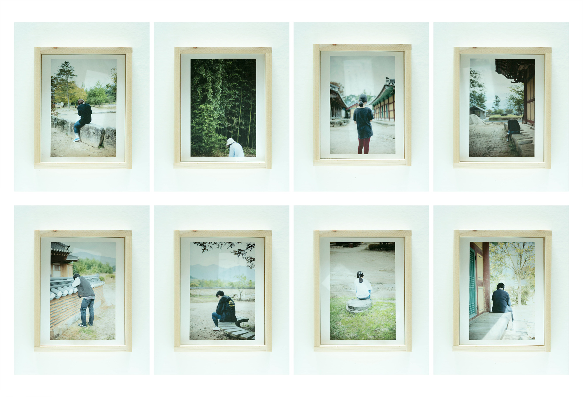 Bird song(2)_Photo installation_dimensions variable_2016