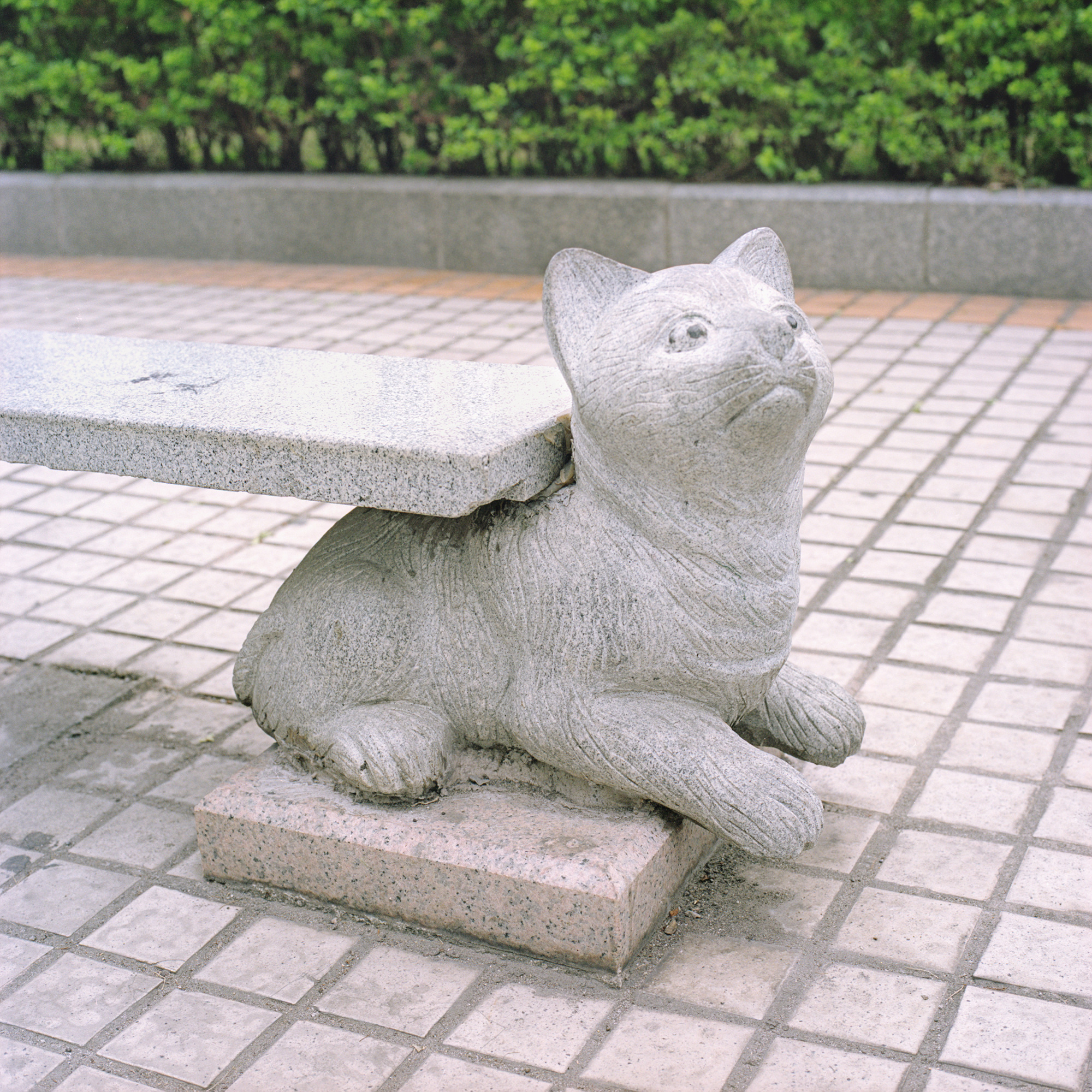 Joongho Yum, The Taste of Others, 100x100cm, Digital Lamda Print, 2010 (2)