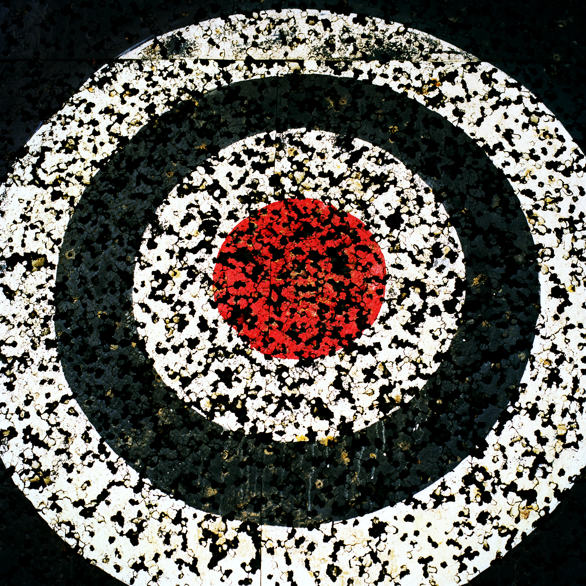 Joongho Yum, The Taste of Others, 160x160cm, Digital Lamda Print, 2010