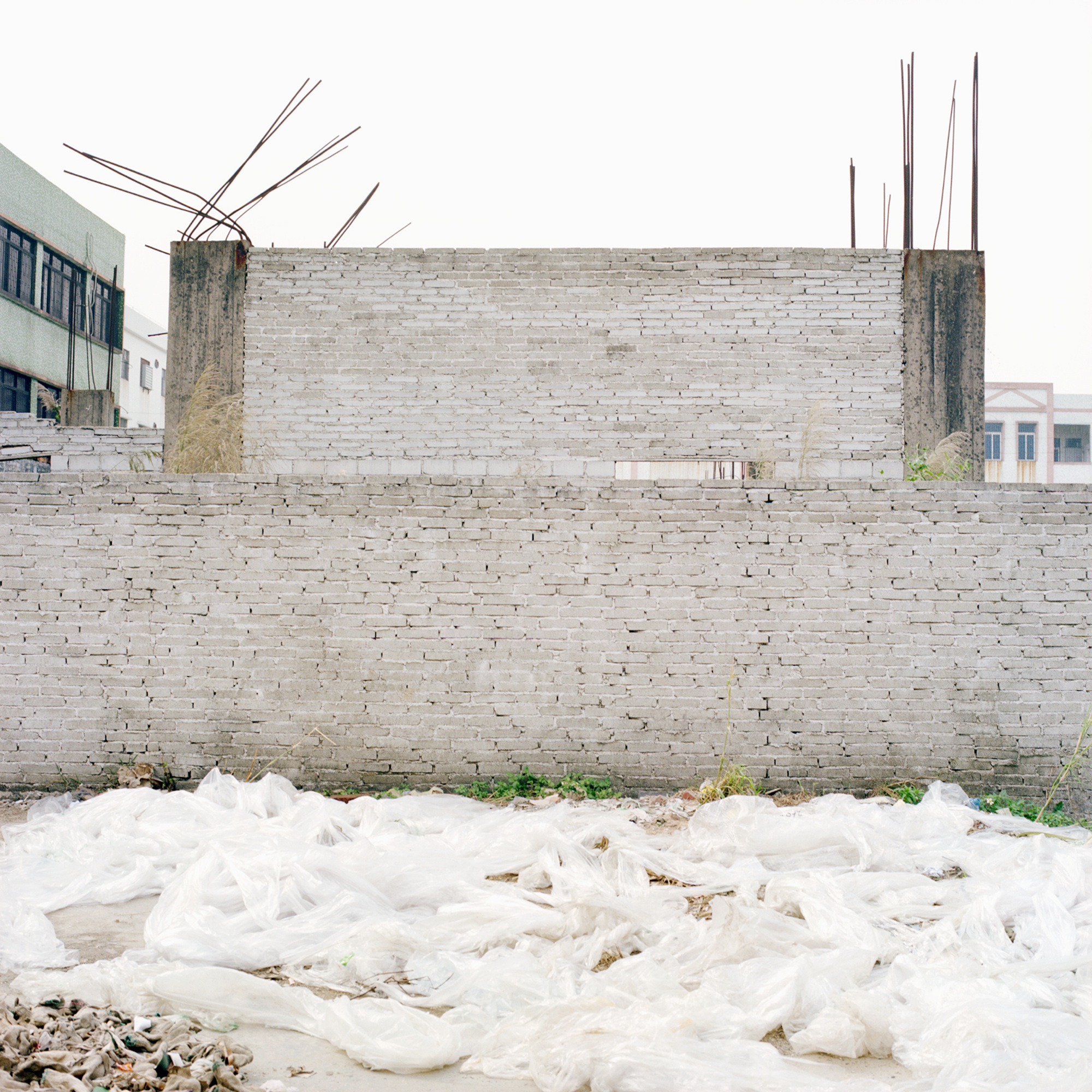 Joongho Yum, The Taste of Others,30x30cm, Digital Lamda Print, 2010