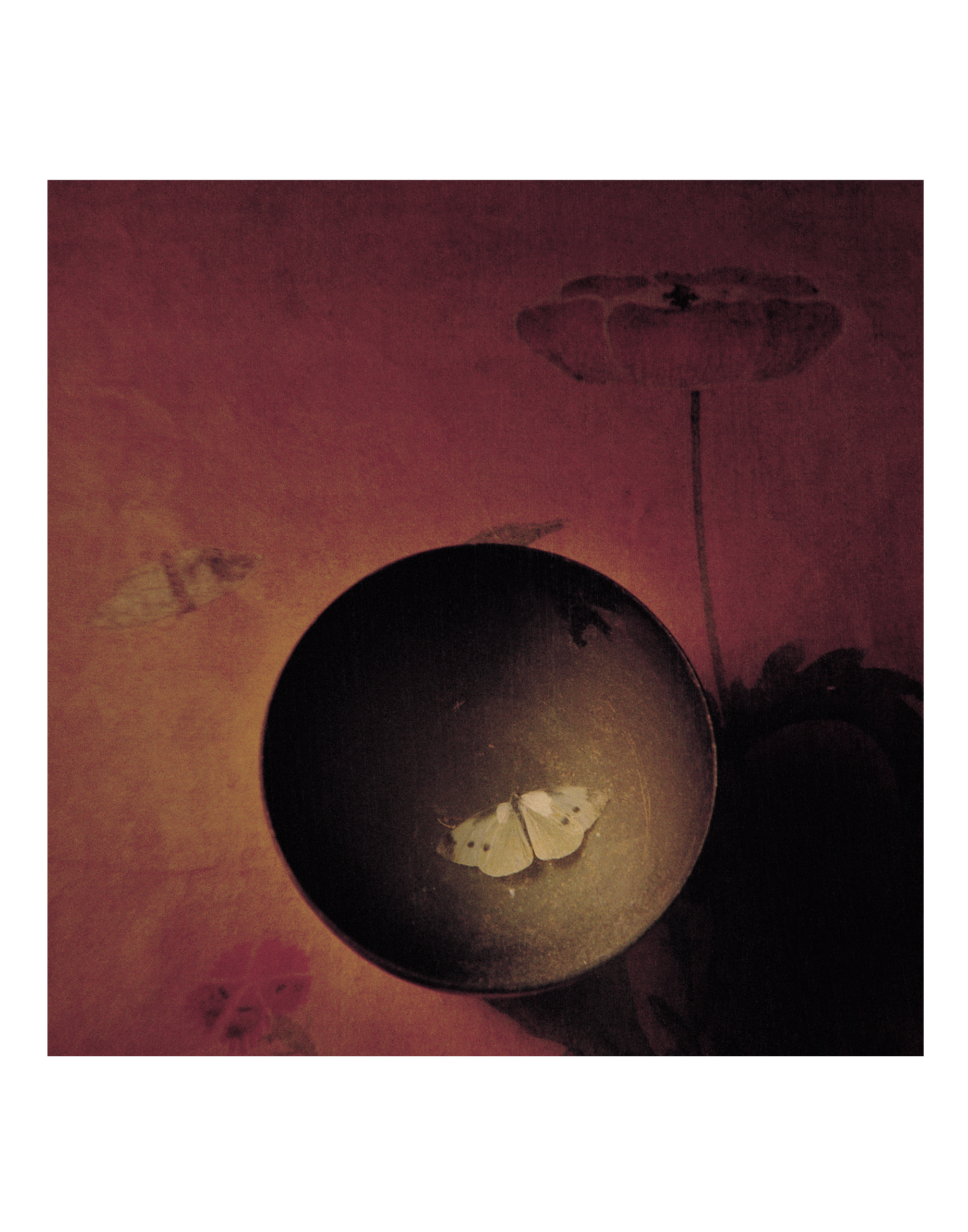 그릇나비, 35x35cm, pigment print on korean paper, 1999