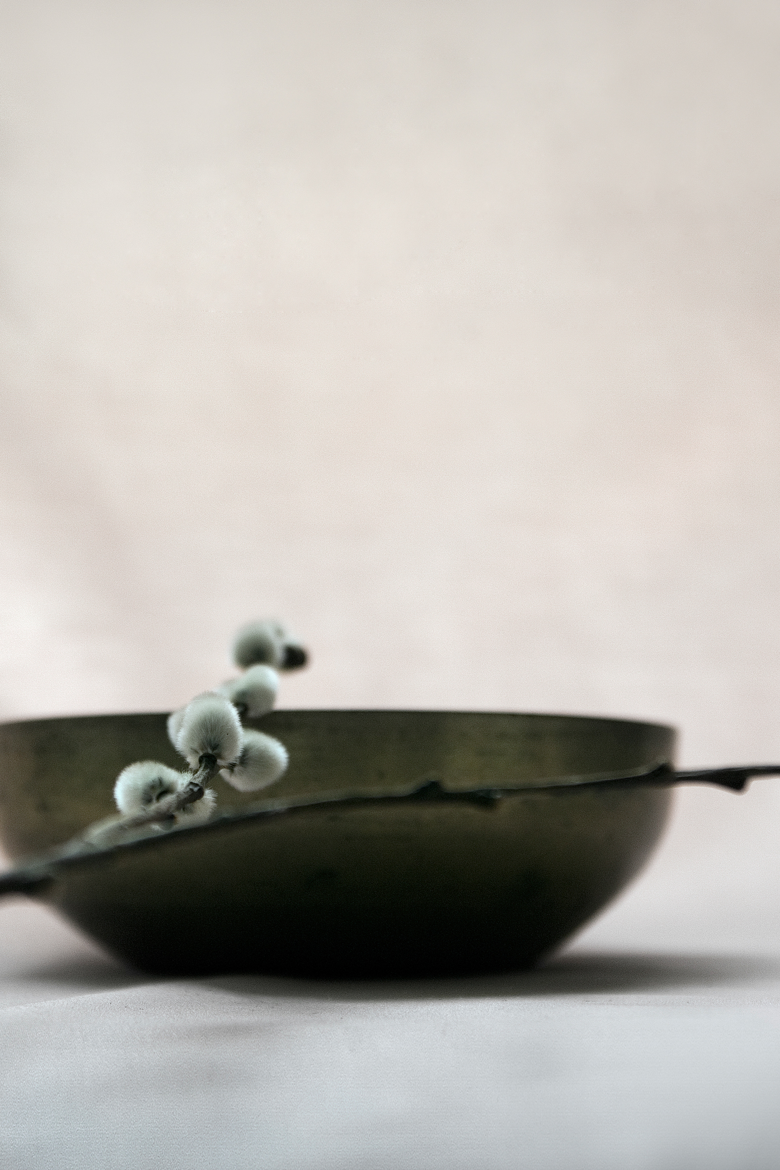 버들, 41x61cm, pigment print, 2006