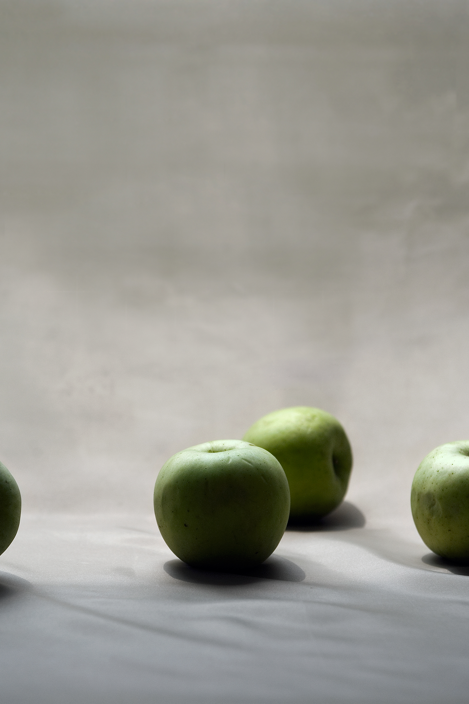 사과, 41x61cm, pigment print, 2006