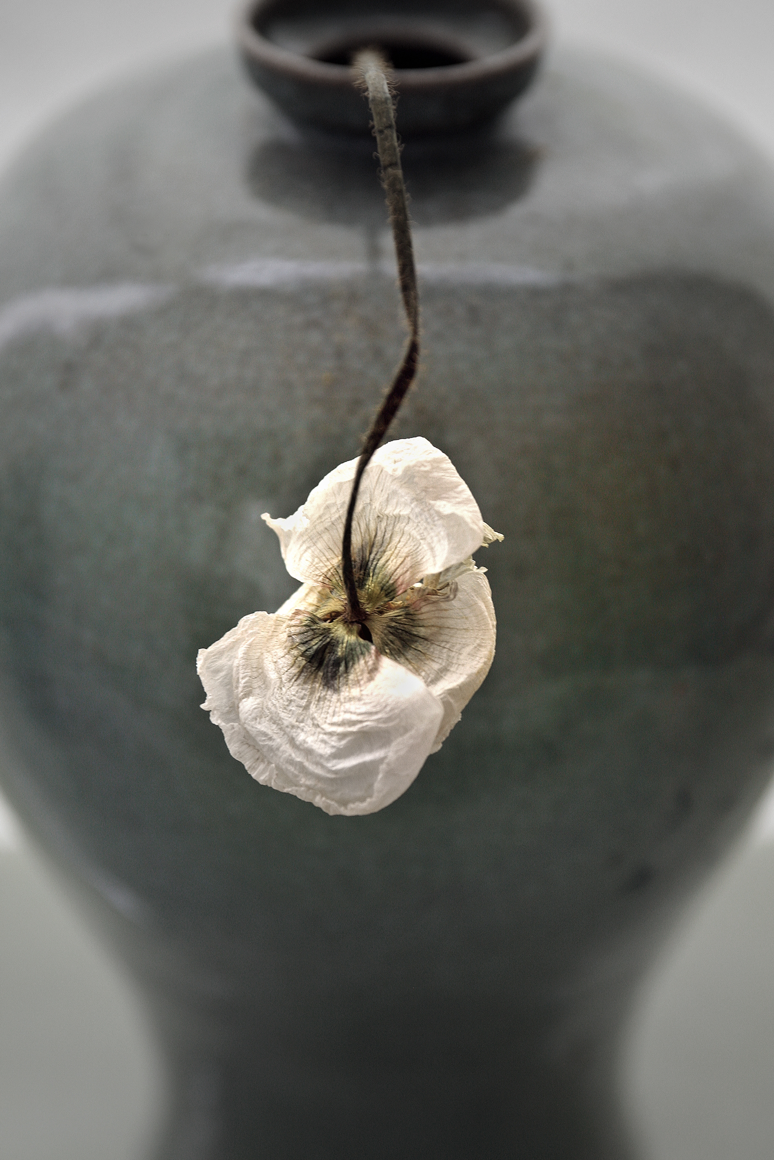 청자, 41x61cm, pigment print, 2006