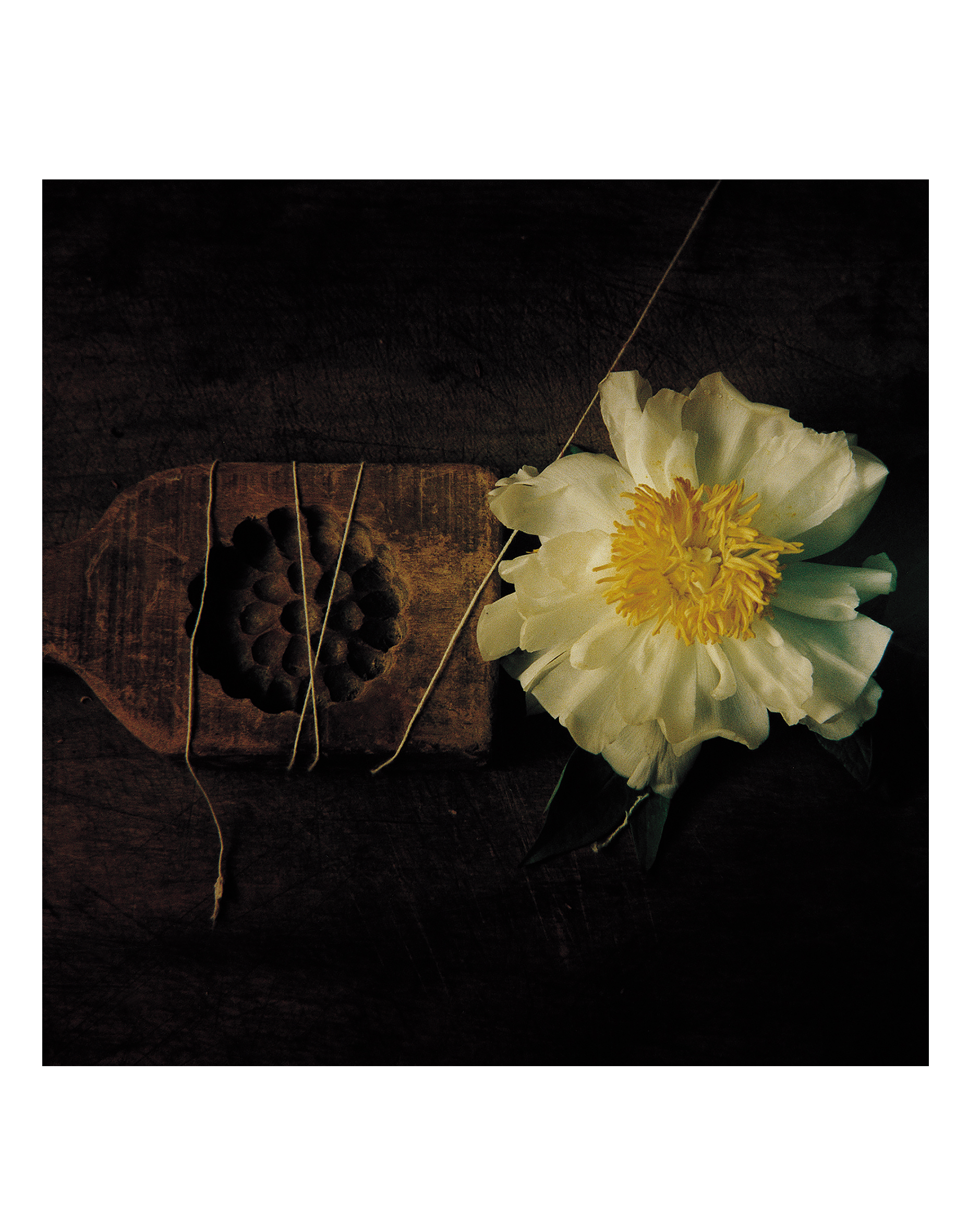 흰목단, 35x35cm, pigment print on korean paper, 1999