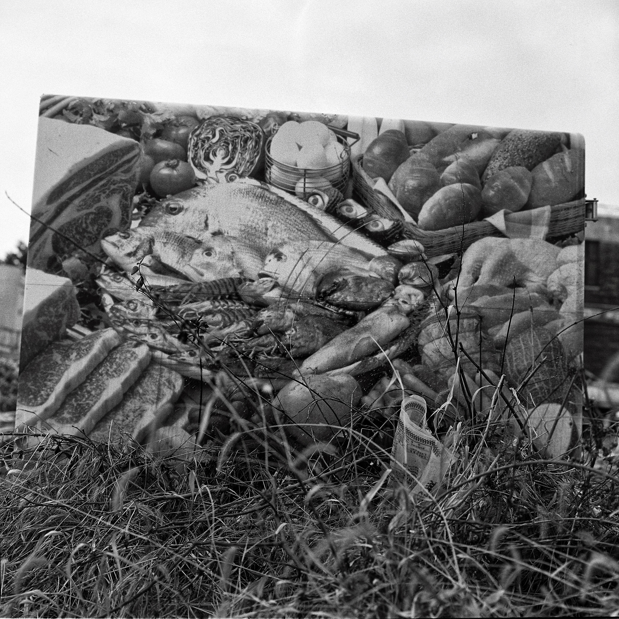 생선_40×40cm_Gelatin silver print_2001