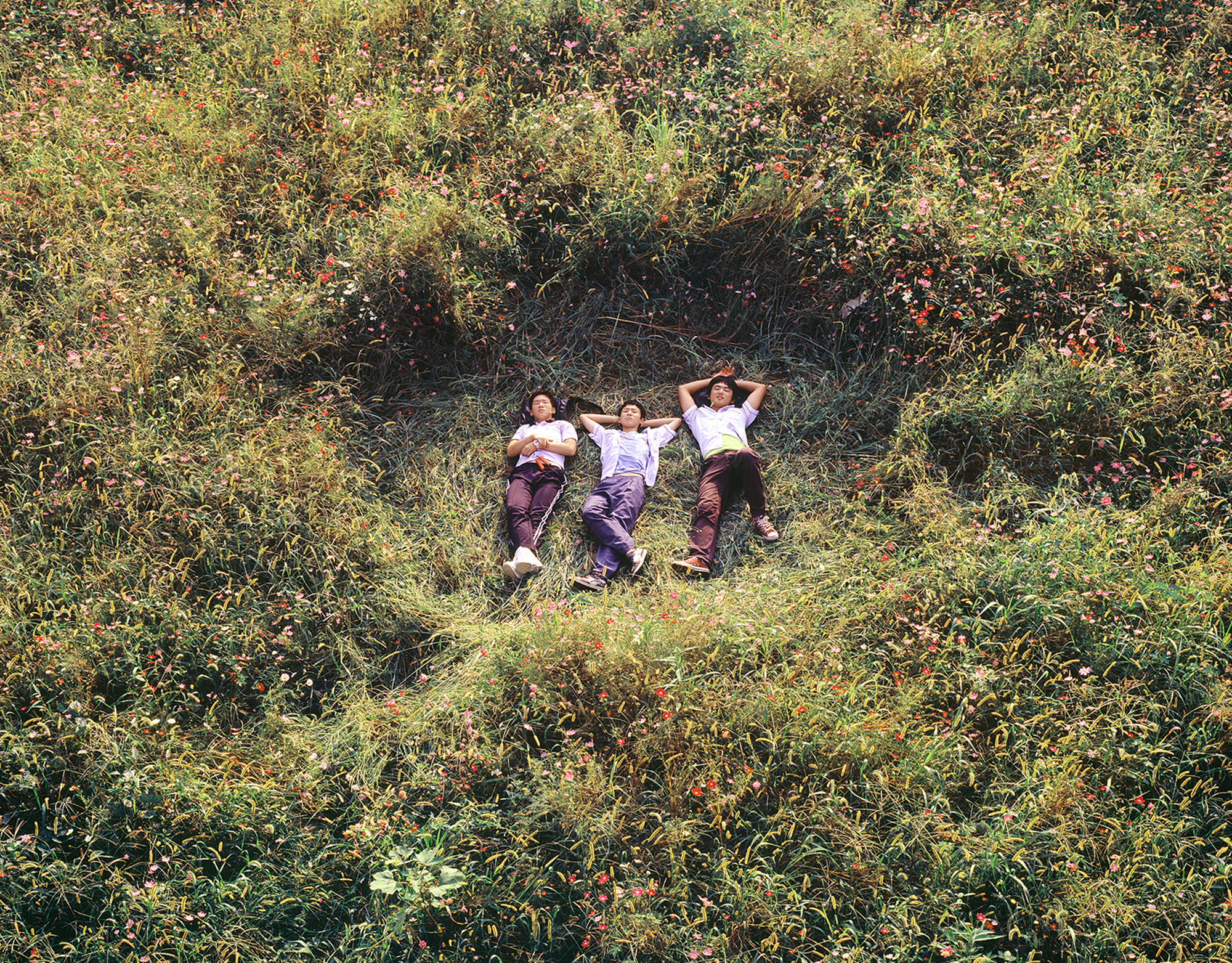 세친구잉어소년_59.6×76cm_ C -print_2008