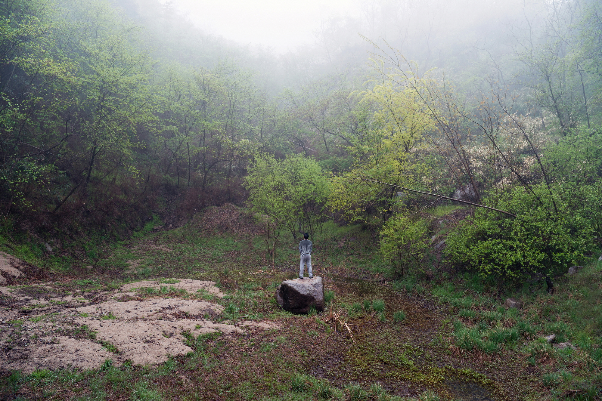 태평사 바위_ inkjet print_80×120cm_2013