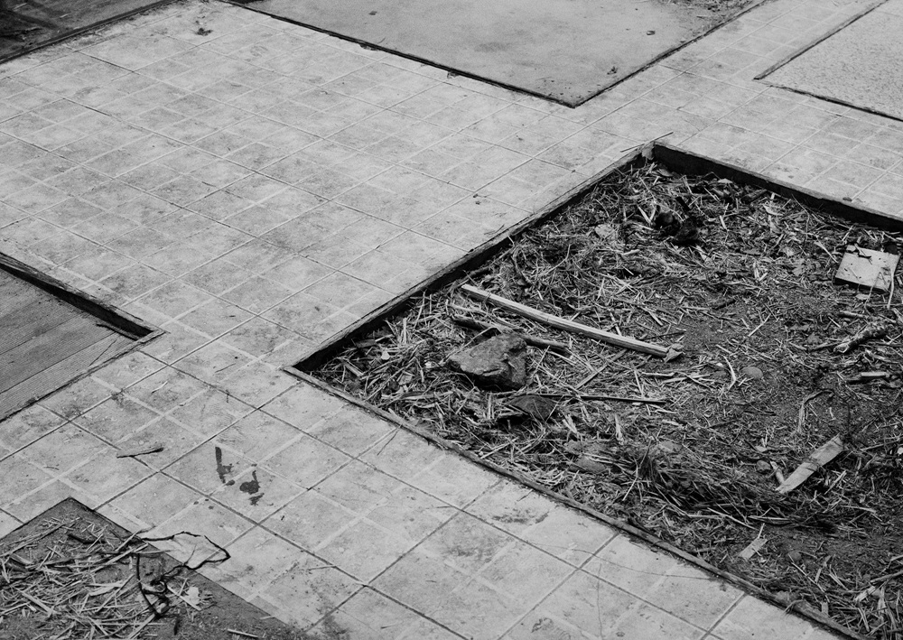 01. 새와 우산 N.21_아카이벌피그먼트프린트_55x70cm_2015