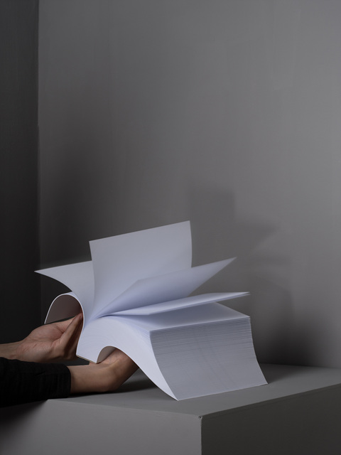 06. 새와 우산 N.40_아카이벌피그먼트프린트_101x76cm_2015