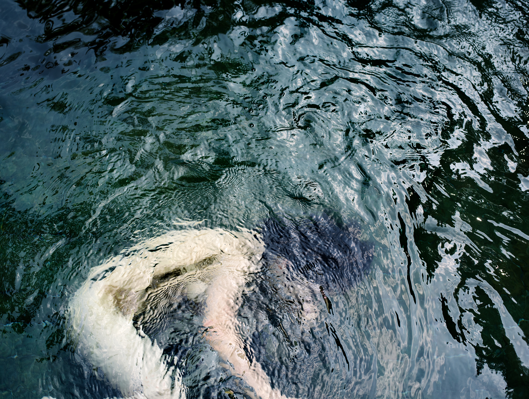 한경은_Invisible Vision_저_15