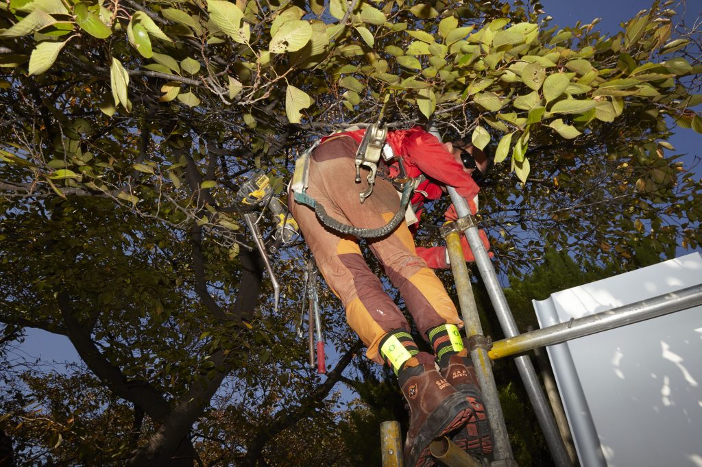 12. Sunglasses, pigment print, 80x120cm, 2015