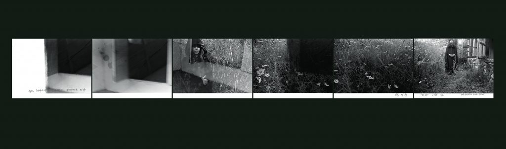 1.1988 우리 봇물을 트자  마녀