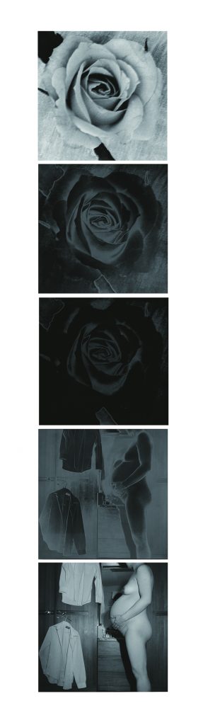 2. 1988 우리 봇물을 트자  장미