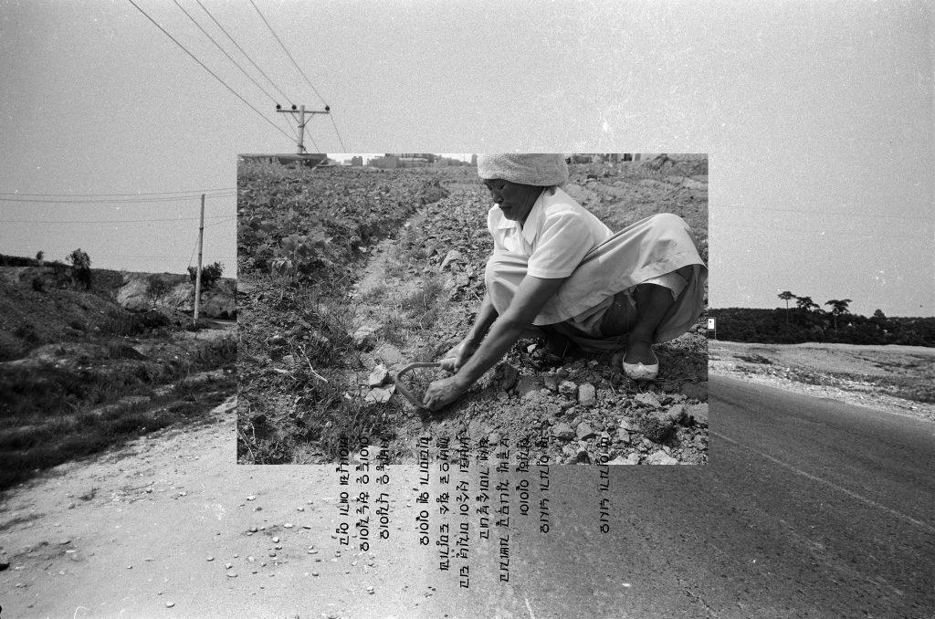 6. 땅 임자가 뉘시오 52.5x35cm