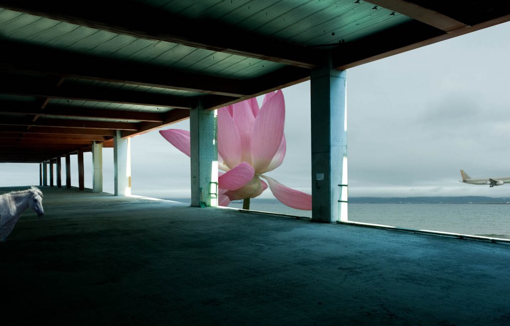 Strange Site # 14, Inkjet print, 110x200cm, 2012