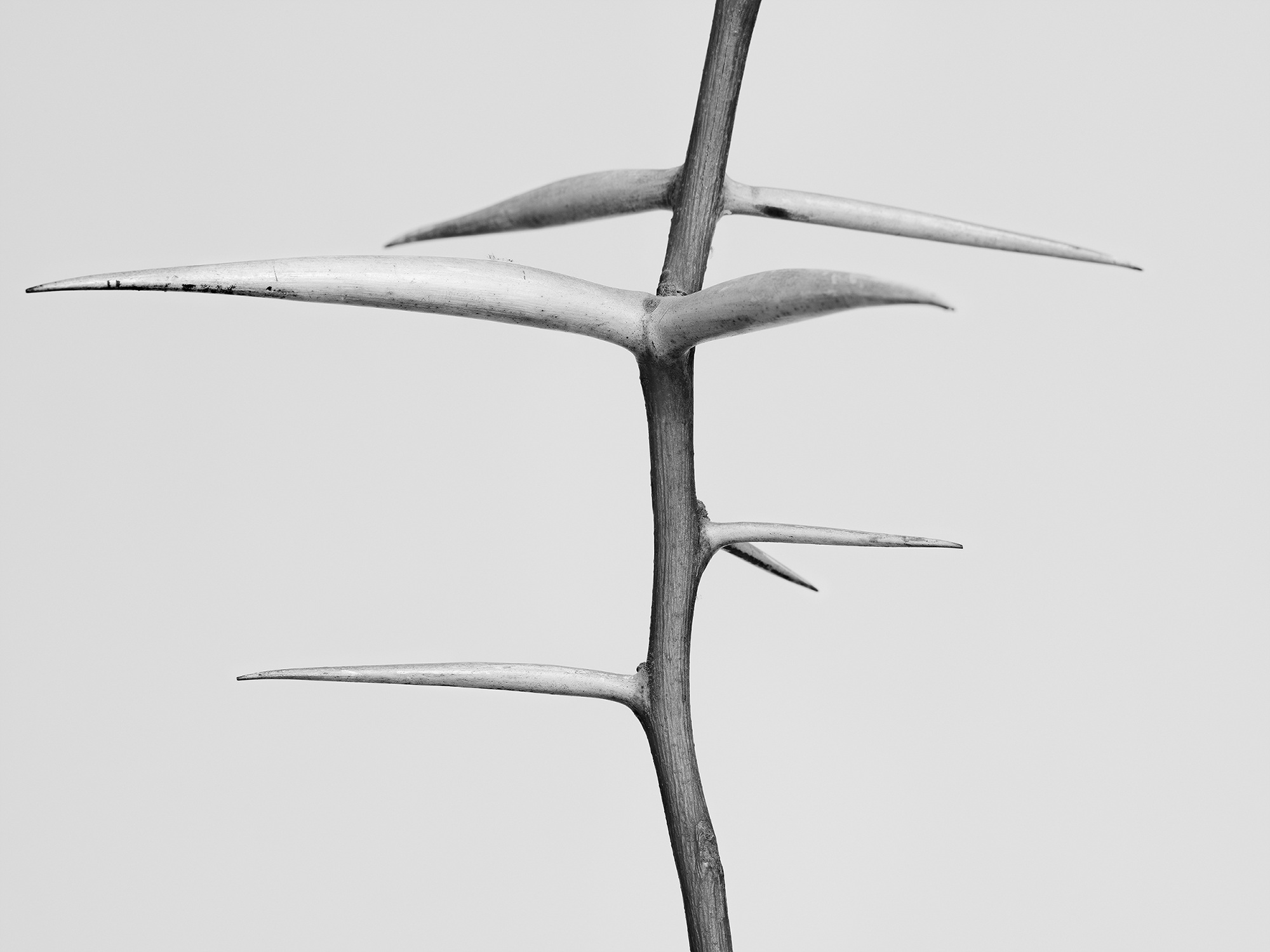 01.안내인 n.1_아카이벌피그먼트프린트_108x144_2017