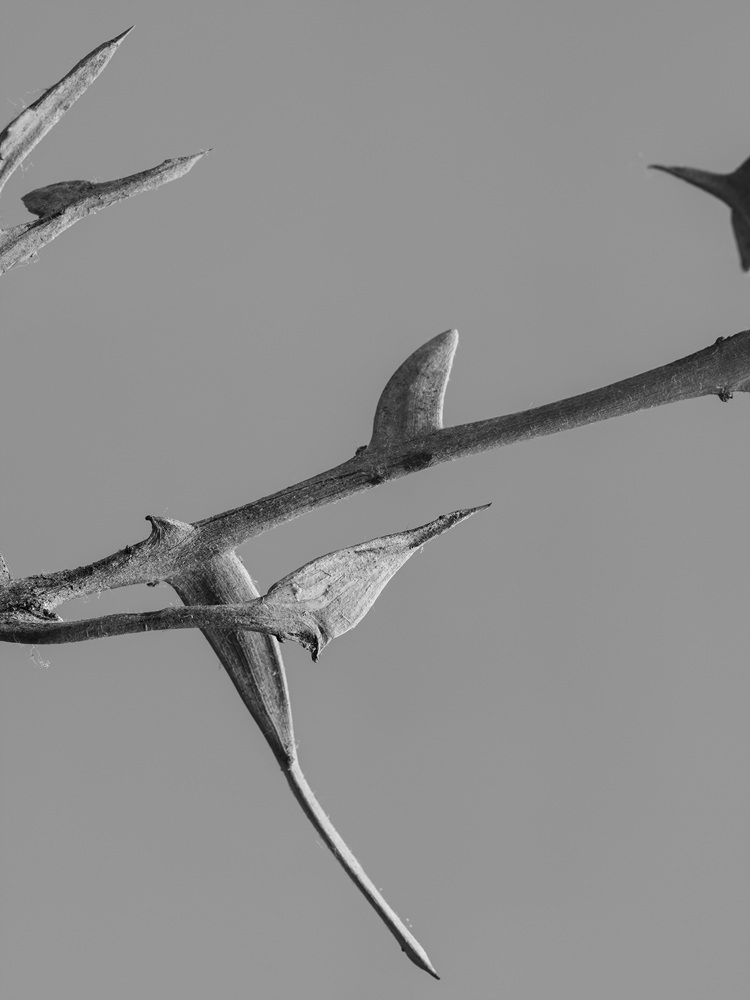 07.누워있는 조각가의 시간-시계초 n.3_아카이벌피그먼트프린트_68x51_2017