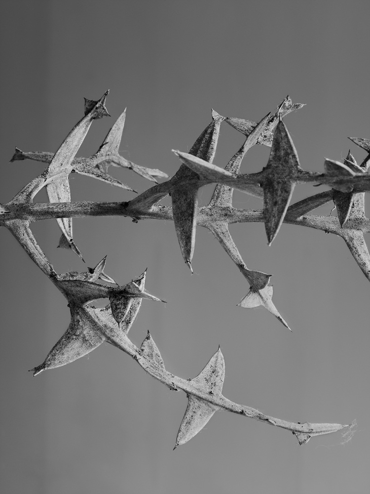 08.누워있는 조각가의 시간-시계초 n.3_아카이벌피그먼트프린트_120x90_2017