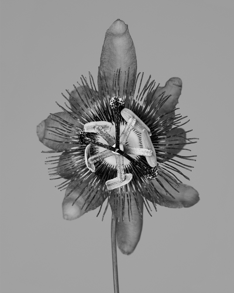 16.Untitled_아카이벌피그먼트프린트_100x80_2017