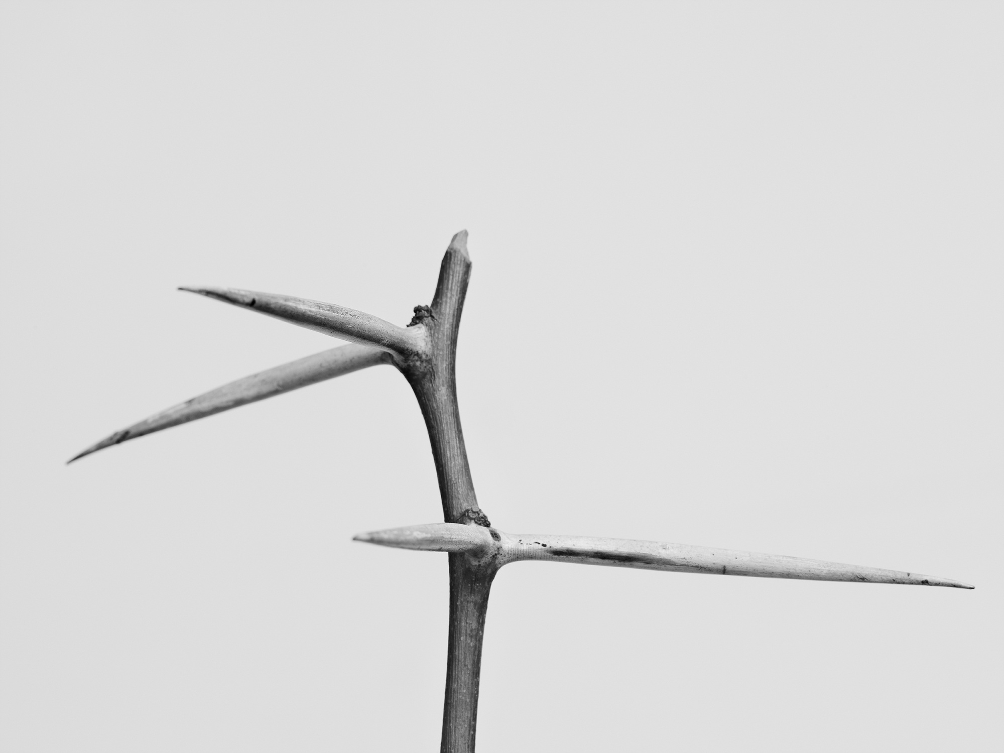 17.안내인 n.6_아카이벌피그먼트프린트_70x90_2017