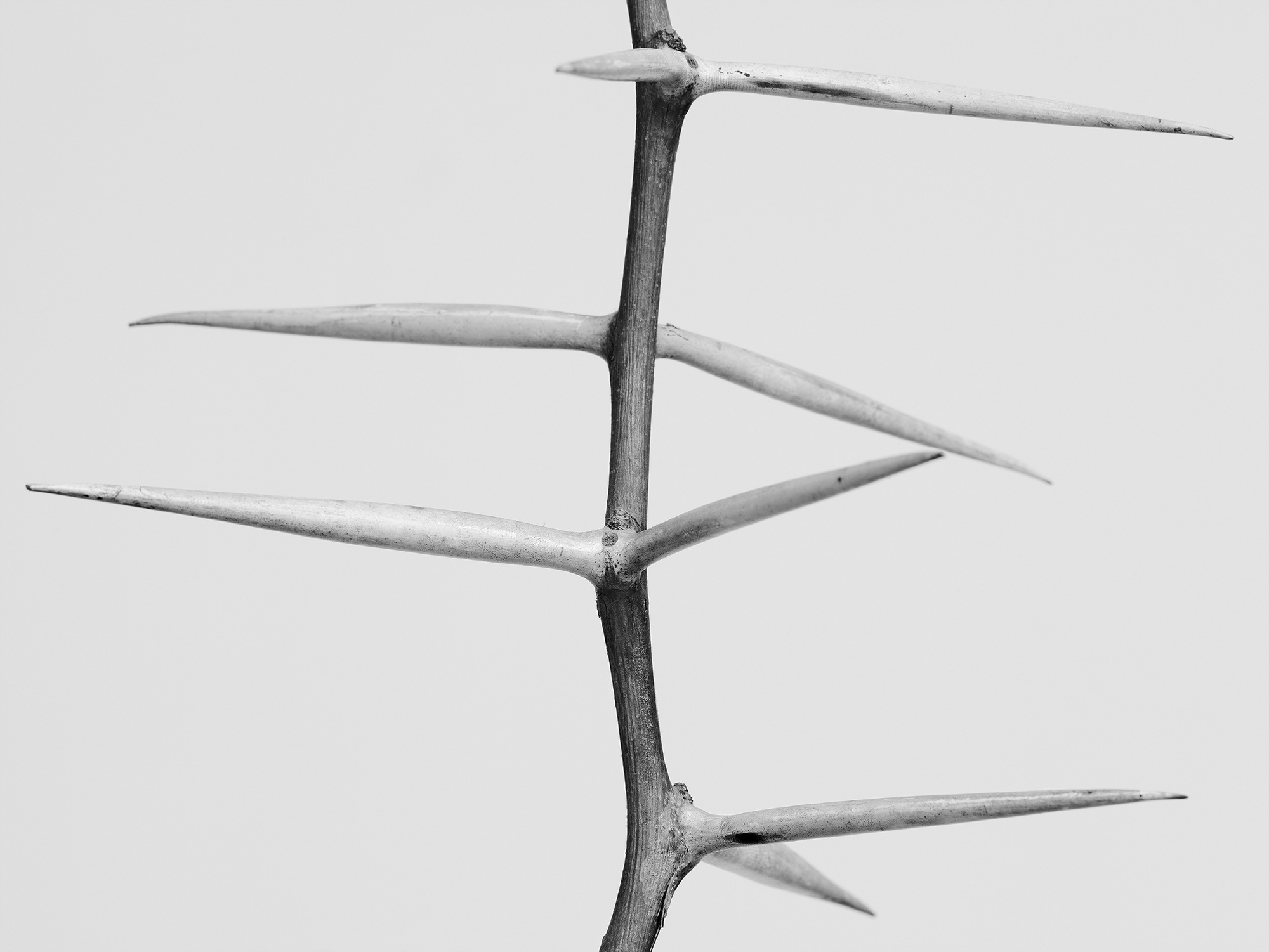 18.안내인 n.2_아카이벌피그먼트프린트_36x48_2017