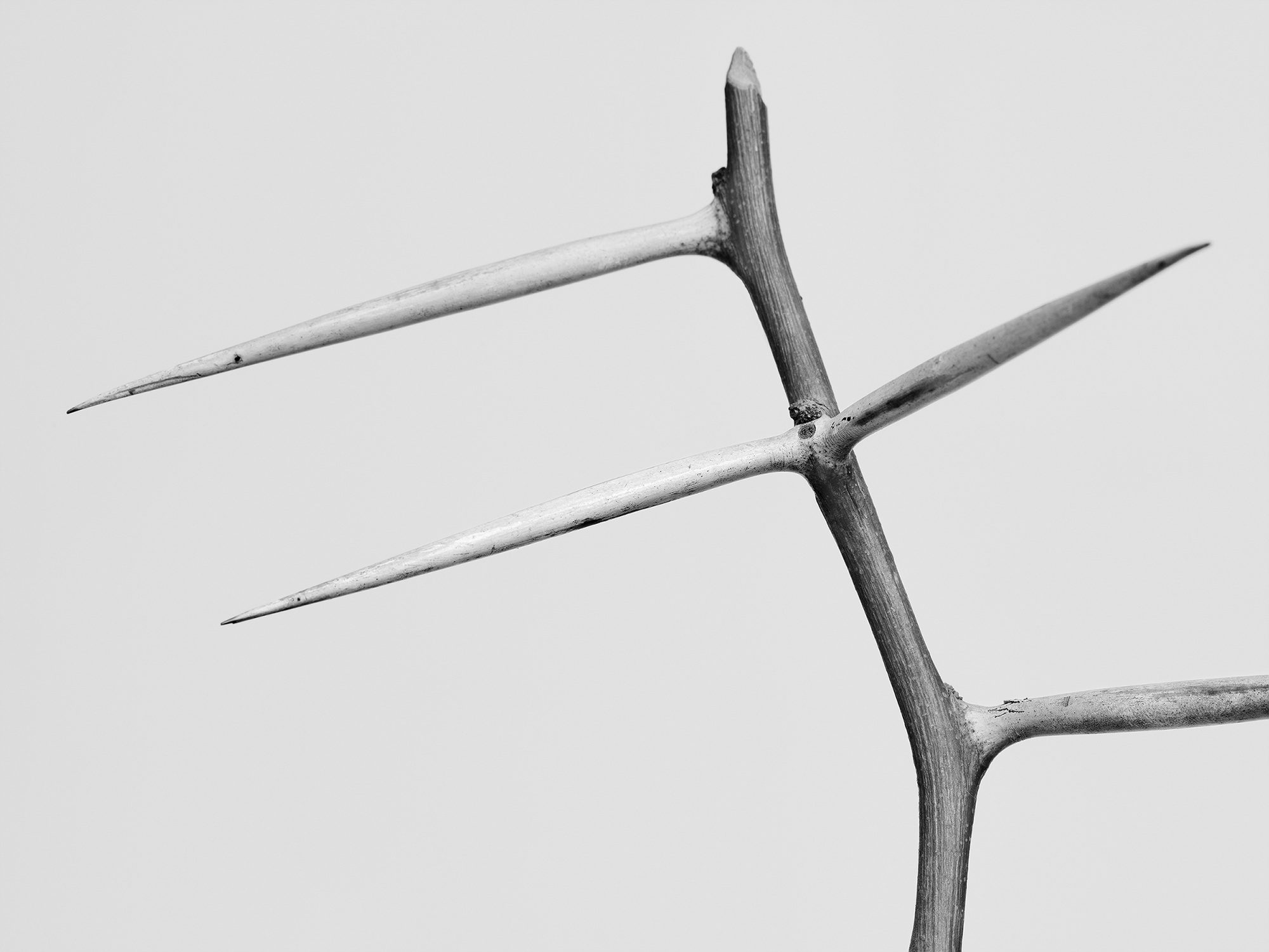 19.안내인 n.3_아카이벌피그먼트프린트_36x48_2017