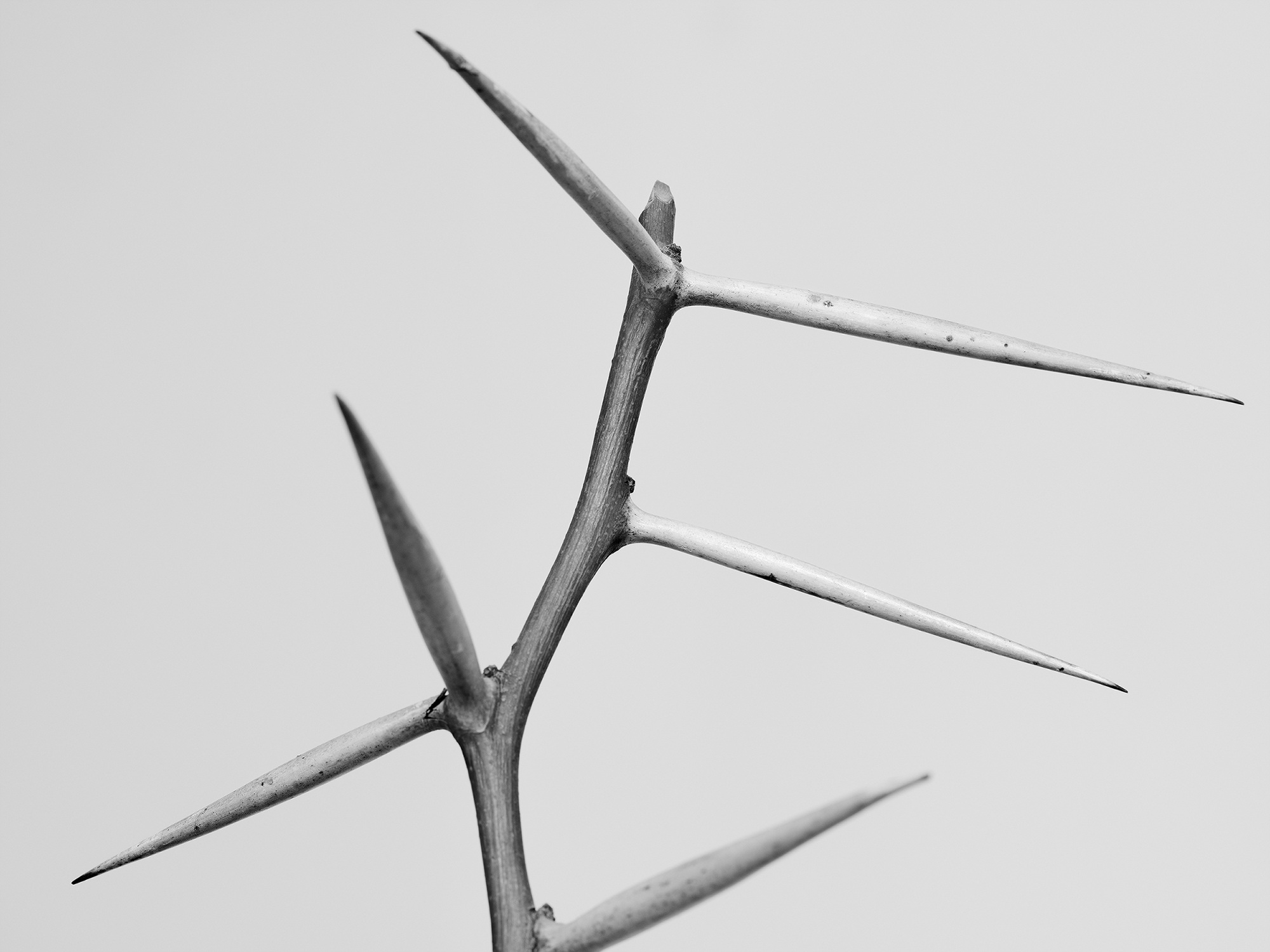 20.안내인 n.4_아카이벌피그먼트프린트_36x48_2017