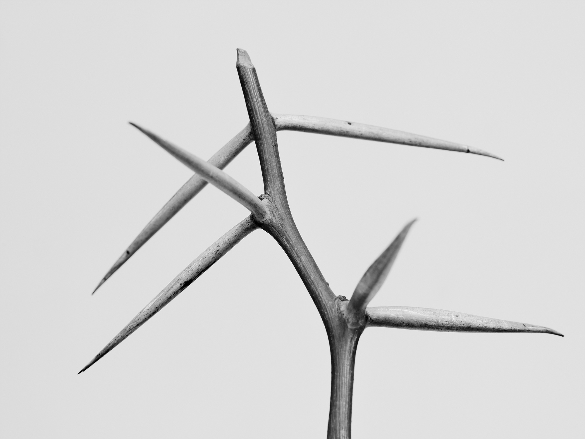 21.안내인 n.5_아카이벌피그먼트프린트_36x48_2017