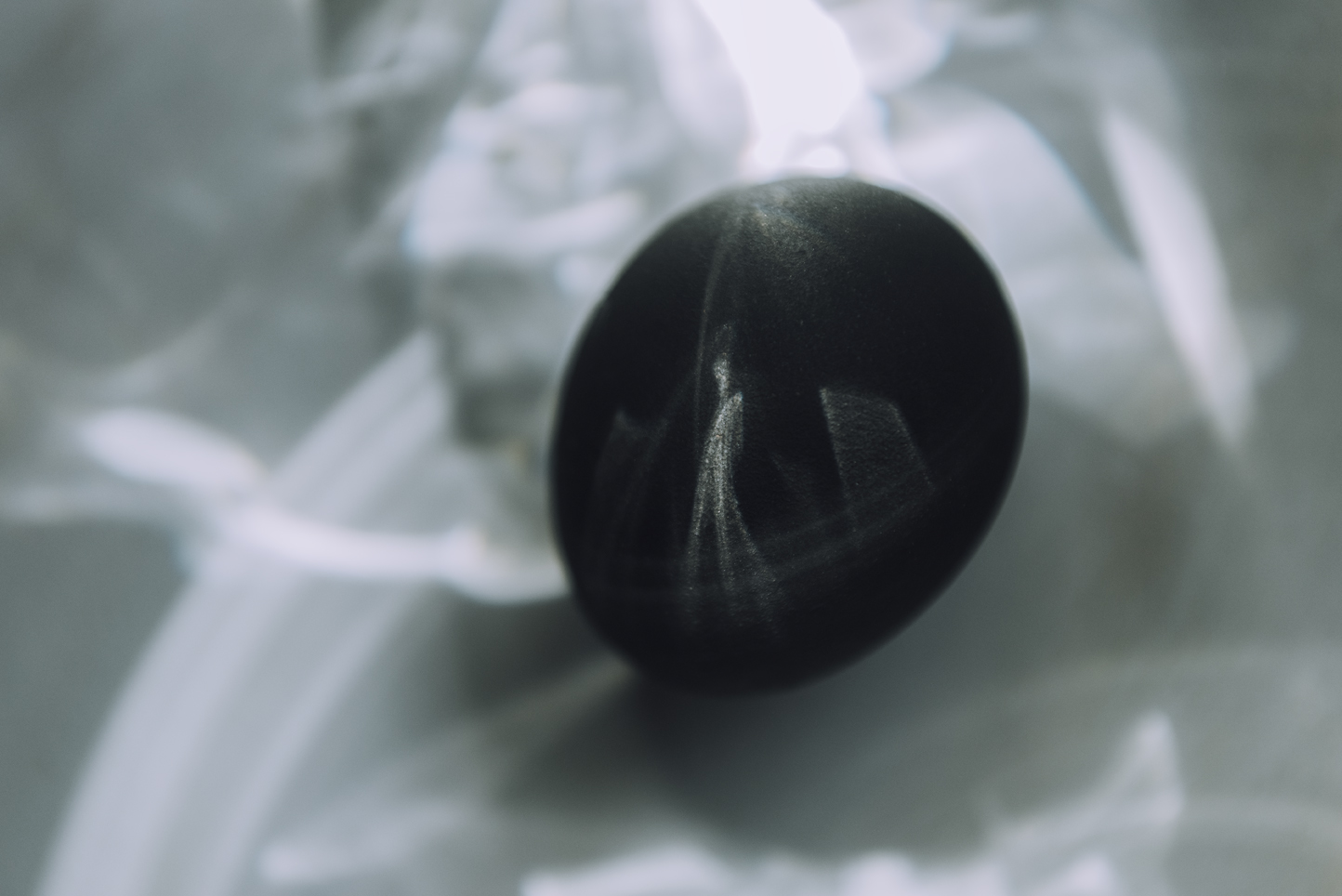 Fragile, 2016-2017 02