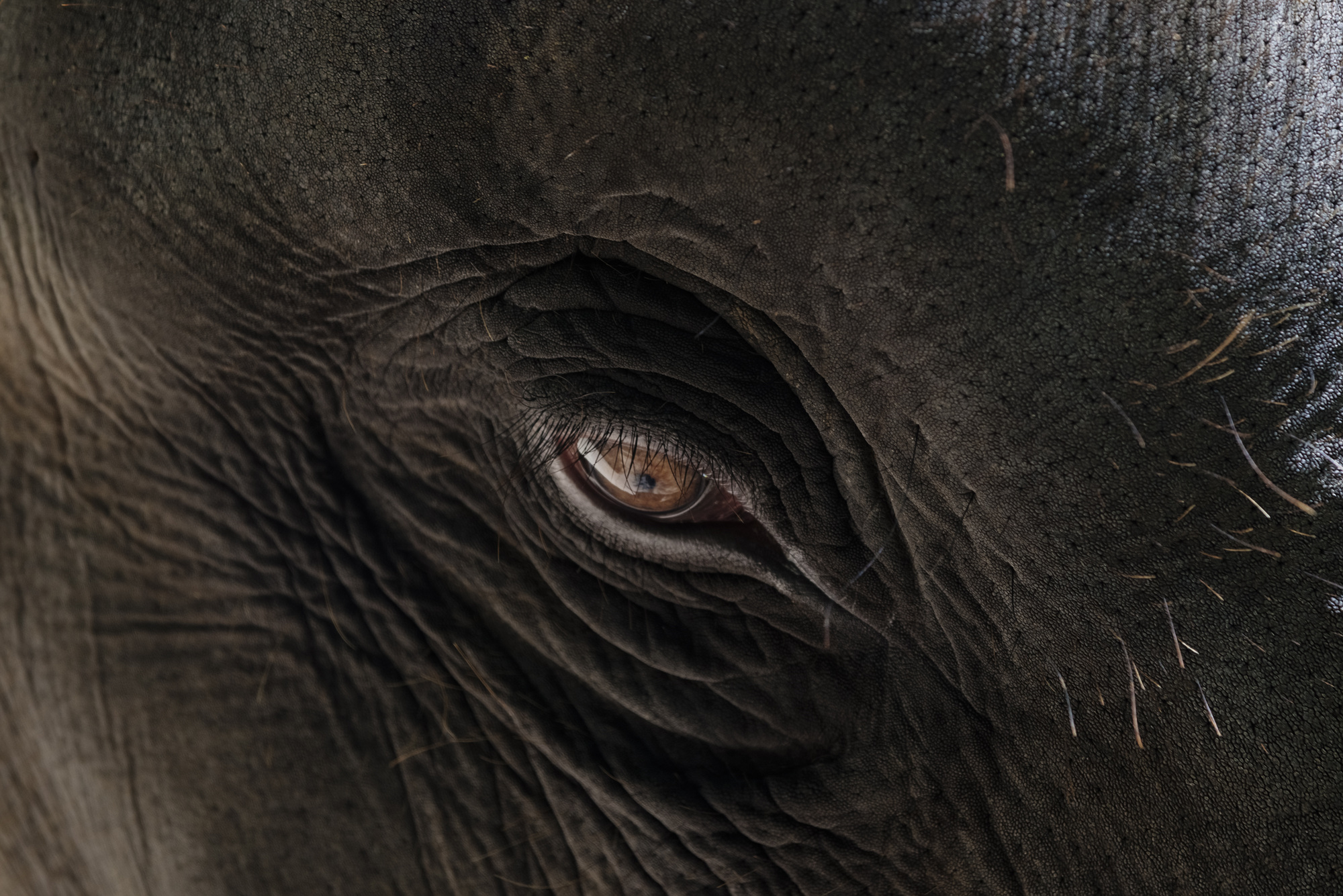 Fragile, 2016-2017 05