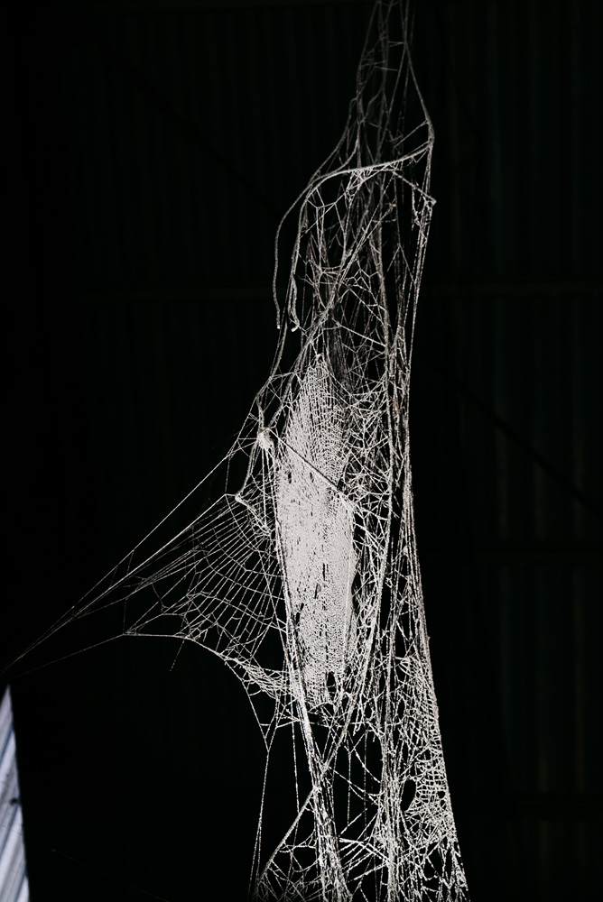 Fragile, 2016-2017 18