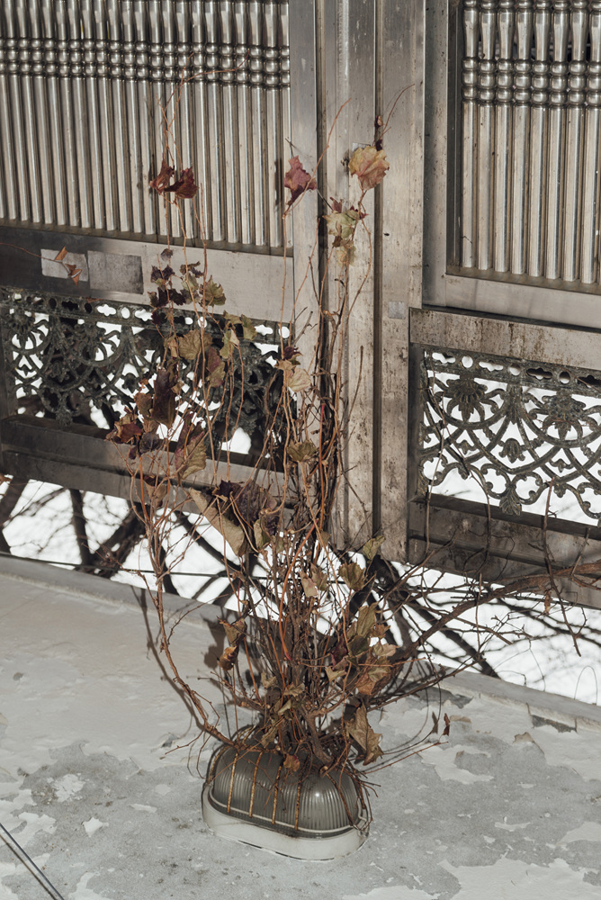 Fragile, 2016-2017 19