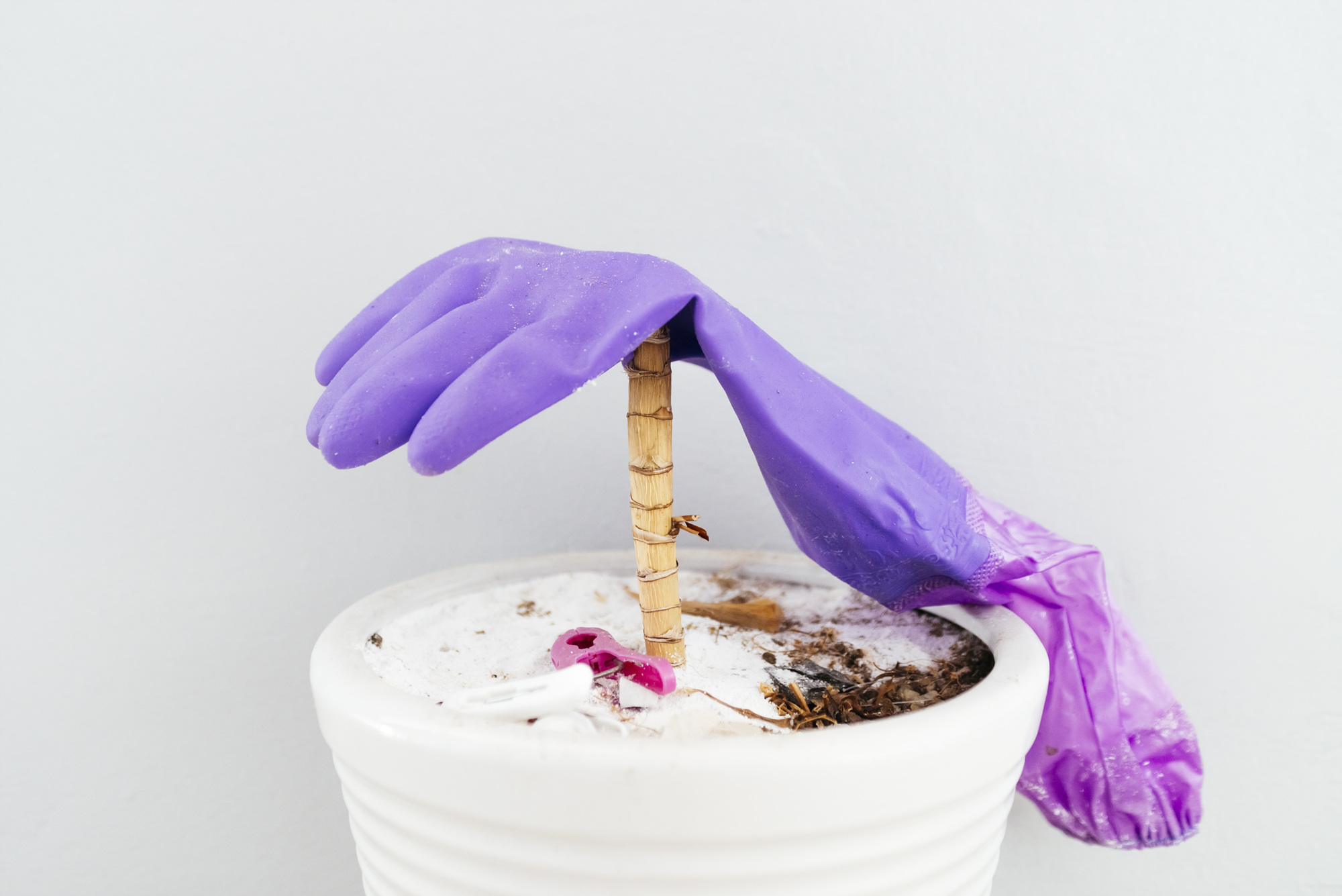 Fragile, 2016-2017 23