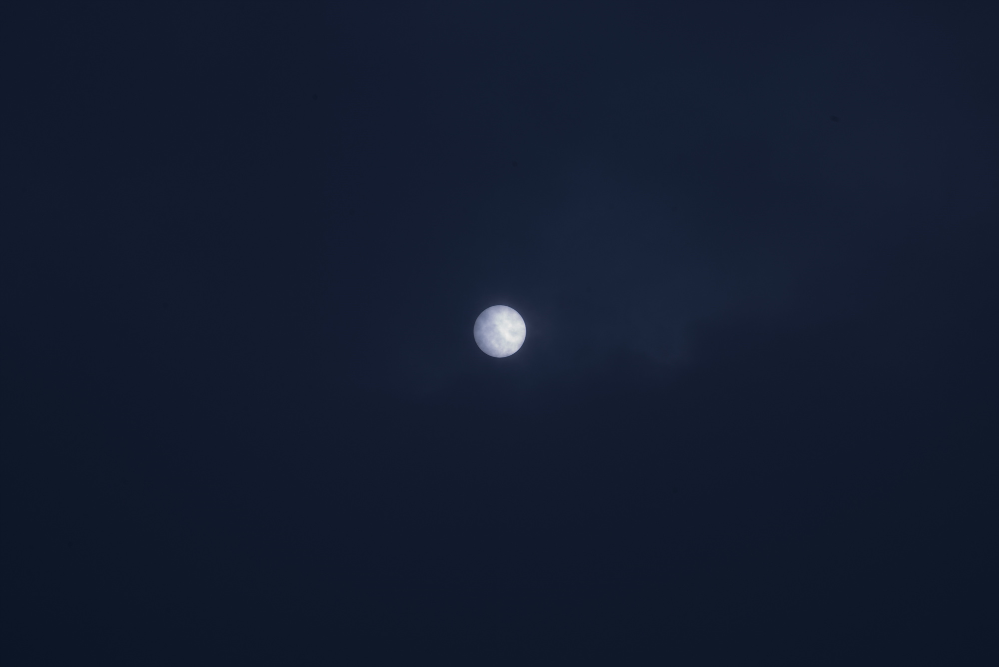 Fragile, 2016-2017 26