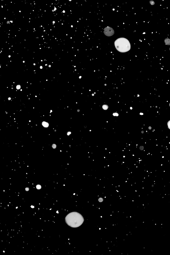 Fragile, 2016-2017 28