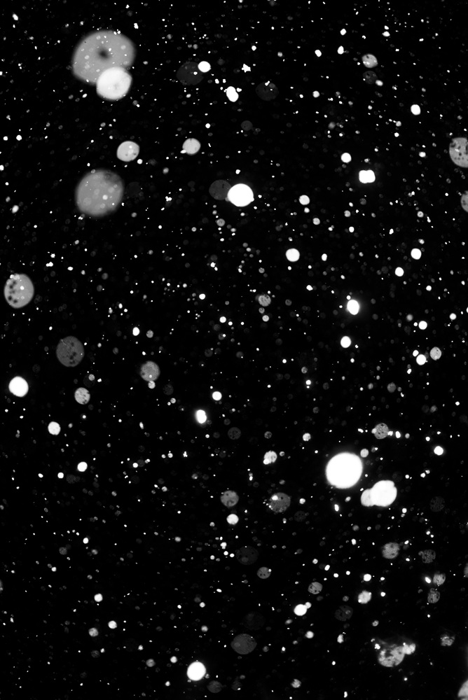 Fragile, 2016-2017 29