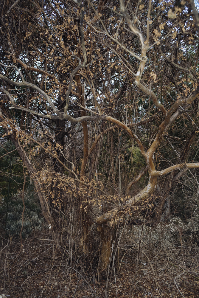 Fragile, 2016-2017 31