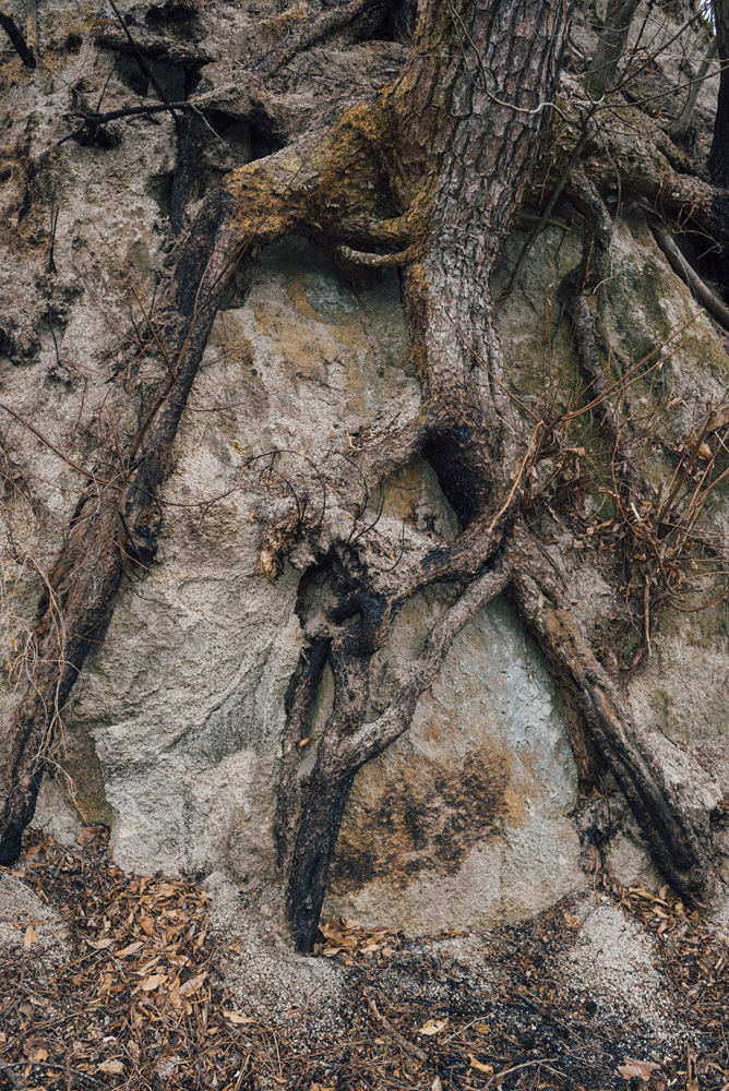 Fragile, 2016-2017 32