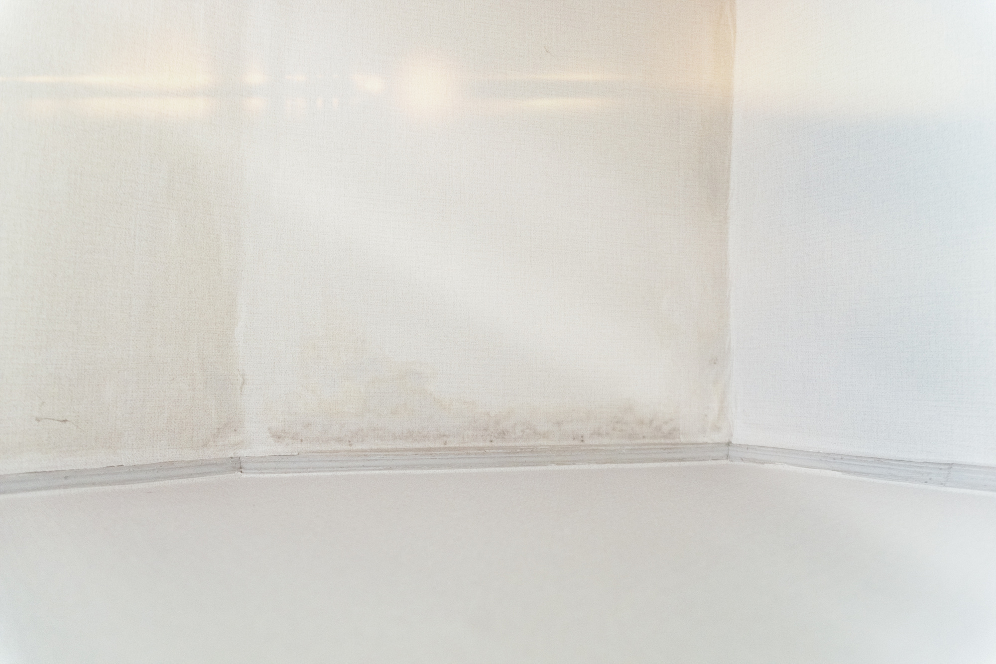 Fragile, 2016-2017 34