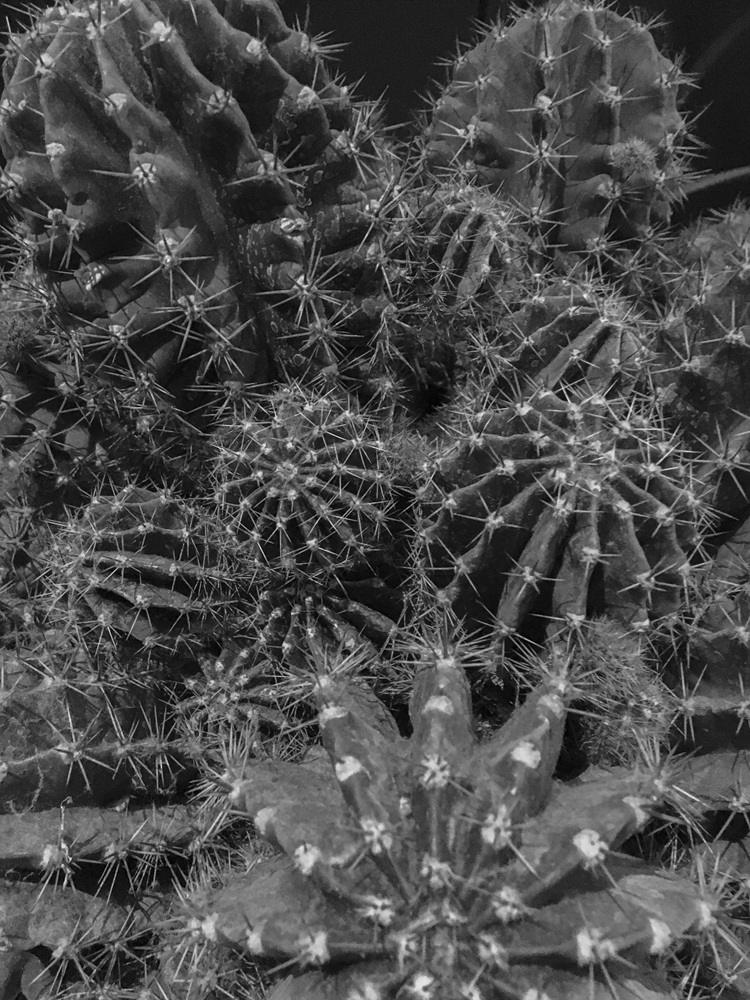 Fragile, 2016-2017 37